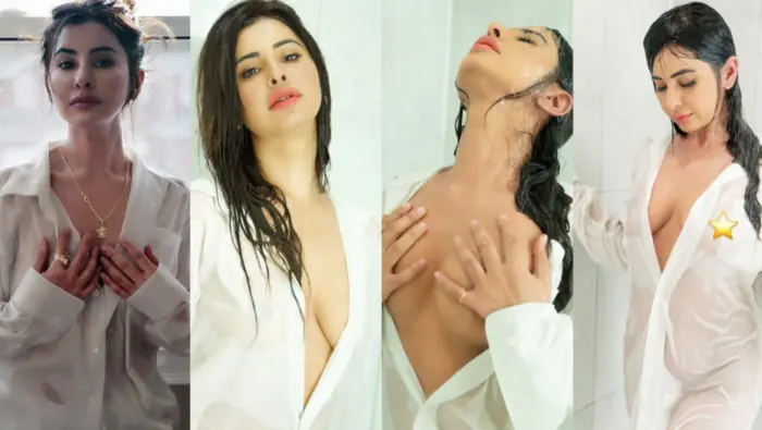 Punjabi Girl Meetii Kalher 5 BG BBC Sextapes HD Video